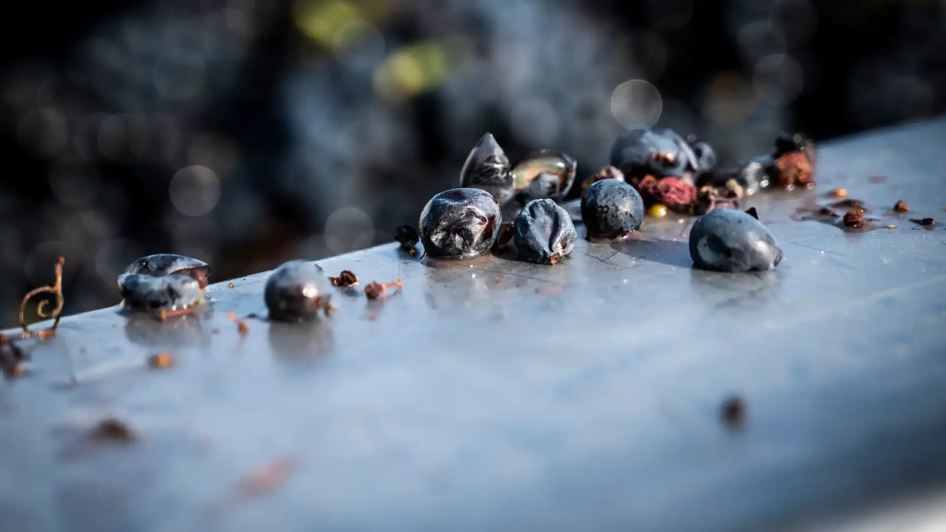 Des baies noires et violettes sont posées sur une surface métallique lisse avec des reflets et des taches de liquide