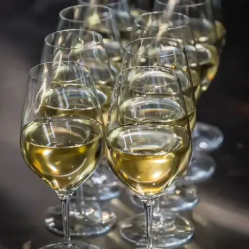 Une rangée de verres à vin contenant un liquide clair et jaune, disposés sur une surface sombre