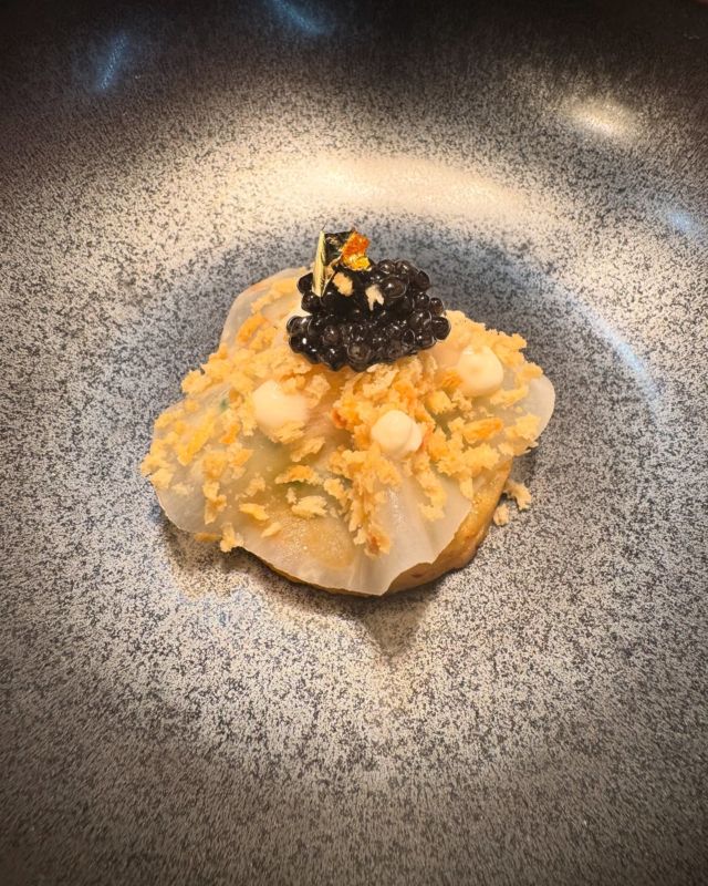 « Délicatesse de céleri et perles noires »
✨✨✨✨✨✨✨✨✨✨✨✨✨

#cuisine #produitsmagiques #végétal #iodé #caviar #restaurant #lulurouget #nantes