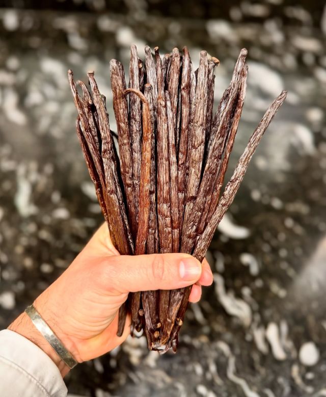 « Vanilla Addict »
🫠🫠🫠

#produitsmagiques #produitsexception #épice #gousse #graines #parfum #madagascar #vanille #lulurouget #restaurant #nantes