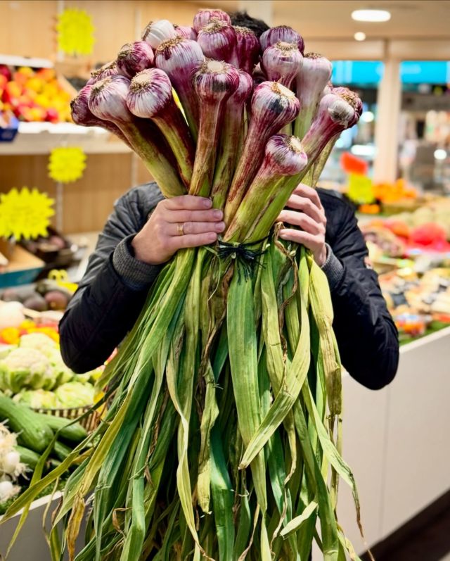 🧄🌱🤩

Les trésors du marché de Talensac à Nantes !

#ailnouveaufrancais #marché #talensac #nantesmaville #ilovemyjob #lulurouget #uncuisinierenville
